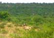 Beaver Ranch is located 5 miles west of Gail, TX in Borden County.