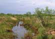 Beaver Ranch is located 5 miles west of Gail, TX in Borden County.