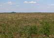 Beaver Ranch is located 5 miles west of Gail, TX in Borden County