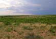 Beaver Ranch is located 5 miles west of Gail, TX in Borden County.