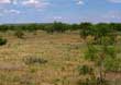 Beaver Ranch is located 5 miles west of Gail, TX in Borden County.