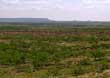 Beaver Ranch is located 5 miles west of Gail, TX in Borden County.