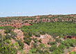 Beaver Ranch is located 5 miles west of Gail, TX in Borden County.