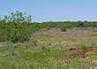 Beaver Ranch is located 5 miles west of Gail, TX in Borden County.