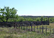 Beaver Ranch is located 5 miles west of Gail, TX in Borden County