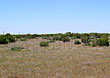 Beaver Ranch is located 5 miles west of Gail, TX in Borden County.