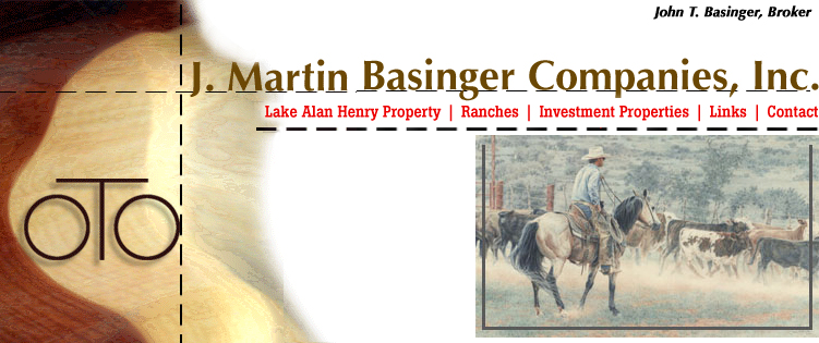 Basinger Companies, Inc.