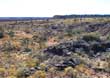 Mitchell County Ranch