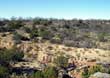 Mitchell County Ranch