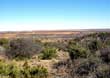 Mitchell County Ranch