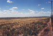 Scurry County Hermleigh Ranch farmland