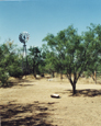 Scurry County Hermleigh Ranch windmill and fence